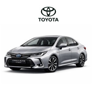 Design sem nome (54)